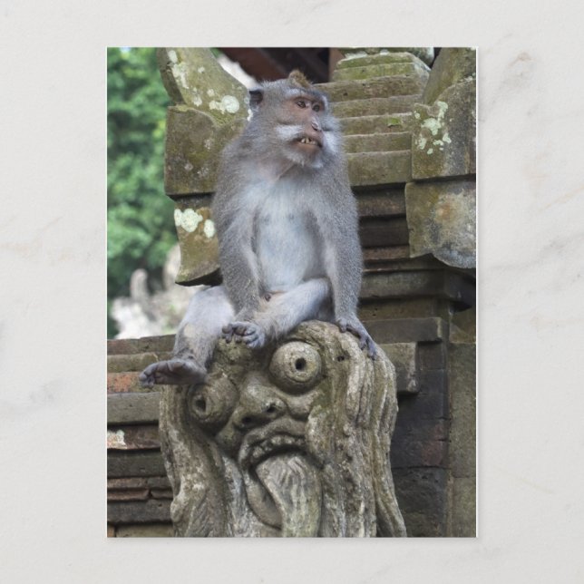 Affe, der an einer Statue in Bali sitzt Postkarte (Vorderseite)