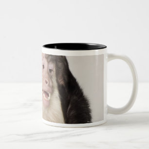 Affe, der sich verkratzt zweifarbige tasse