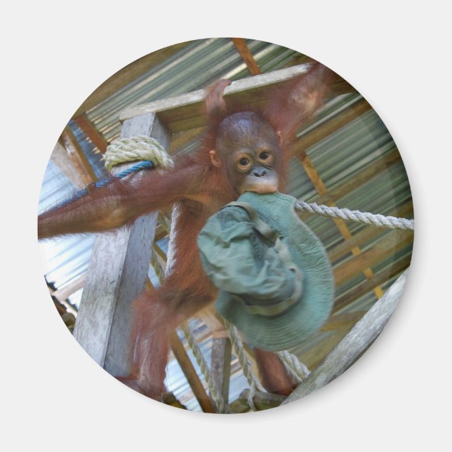 Affe für Grün Magnet (Vorne)