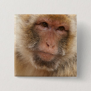 Affe-Gesichts-Quadrat-Button Button