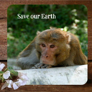 Affe - Großvater Getränkeuntersetzer