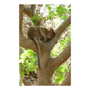 Affe - Ich bin so müde Fotodruck