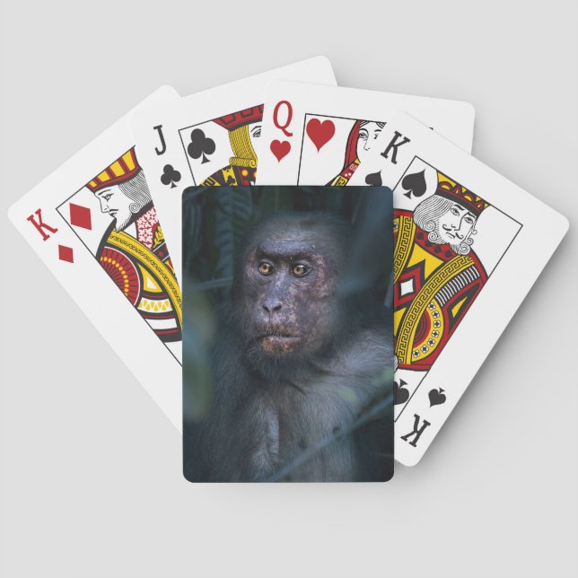 Affe im Dschungel Spielkarten (Rückseite)