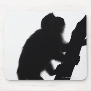 Affe in einem Baum, Halbinsel Railay, Mousepad