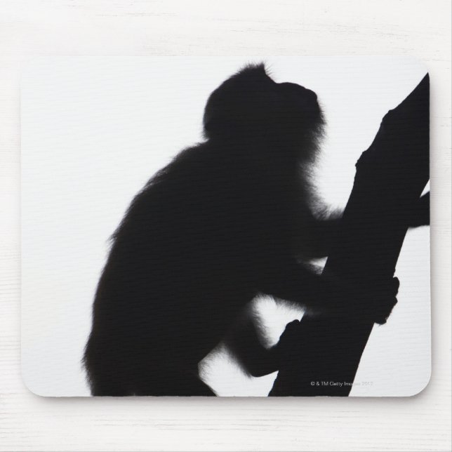 Affe in einem Baum, Halbinsel Railay, Mousepad (Vorne)