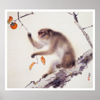 Affe in einem Persimmonbaum Poster