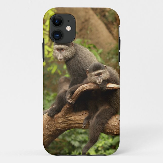 Affe iPhone 5 Case-Mate iPhone Hülle (Rückseite)