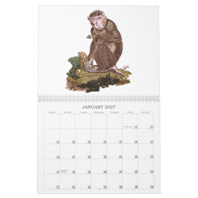 Affe-Kalender Kalender (Jan 2027)