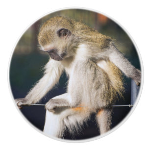 Affe Keramikknauf