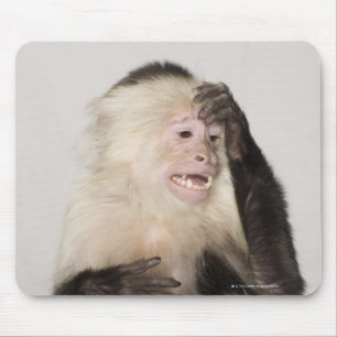 Affe kratzt sich mousepad