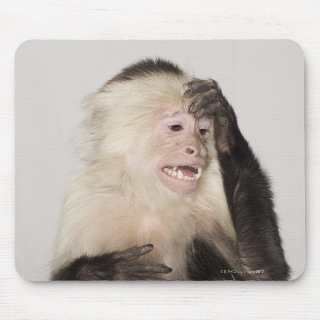 Affe kratzt sich mousepad (Vorne)