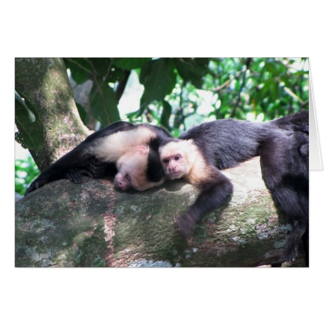 Affe Liebe (Vorderseite (Horizontal))