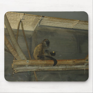 Affe Mousepad