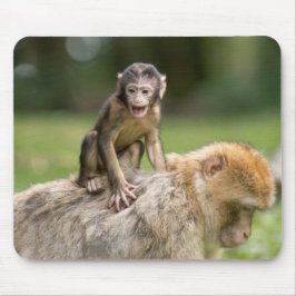 Affe Mousepad