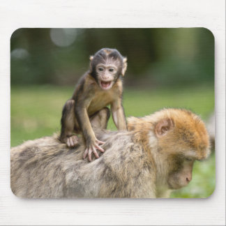 Affe Mousepad