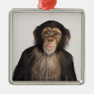 Affe Ornament Aus Metall