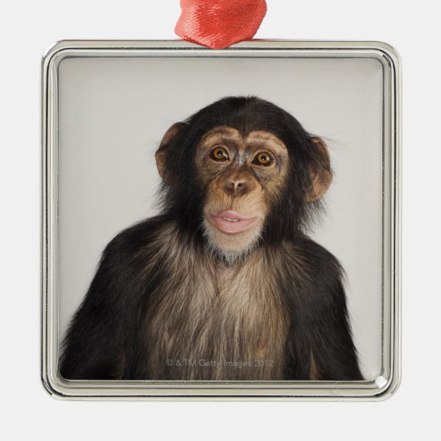 Affe Ornament Aus Metall (Vorne)