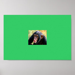 Affe Poster