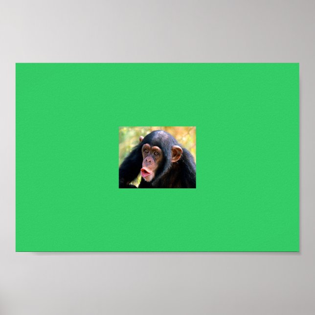Affe Poster (Vorne)