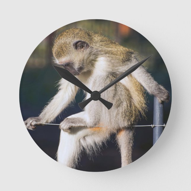 Affe Runde Wanduhr (Vorderseite)