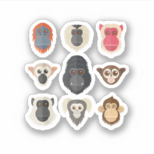 Affe Schimpanse Gorilla Klammeraffe Eichhörnchen M Aufkleber