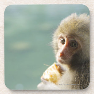 Affe Untersetzer