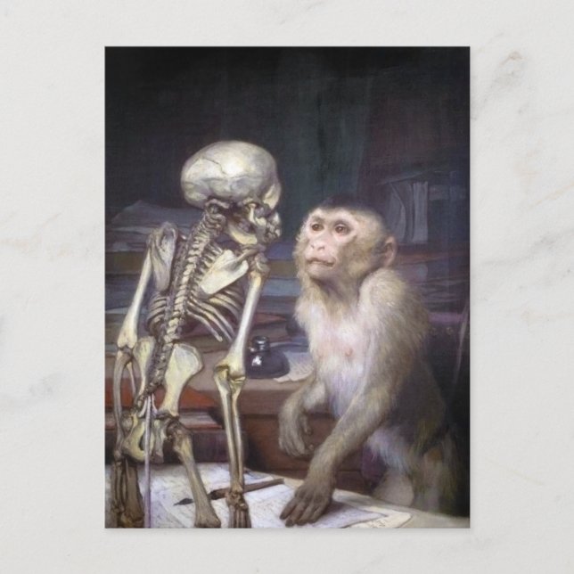 Affe vor Skelett Postkarte (Vorderseite)