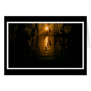 Affection cardiaque 1