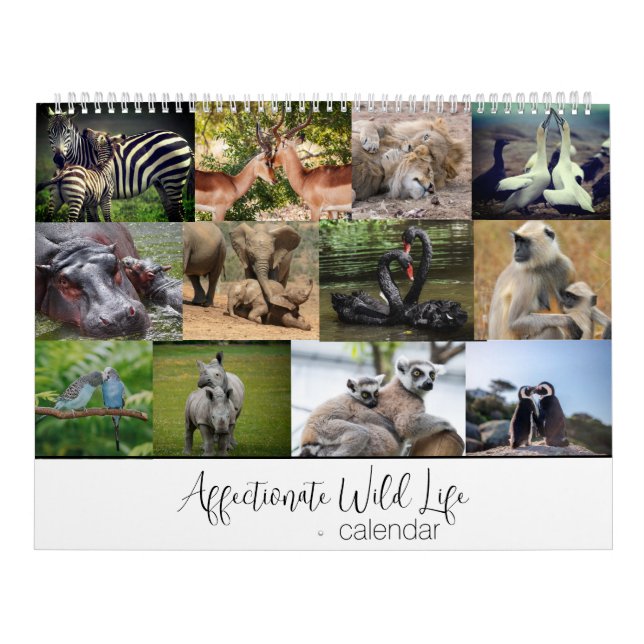 Affektierter Wildbestand Kalender (Titelbild)