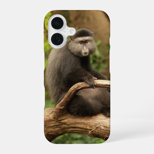 Affen-Handy-Fall iPhone 16 Hülle (Rückseite)