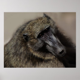 Affen-Liebe für immer Poster