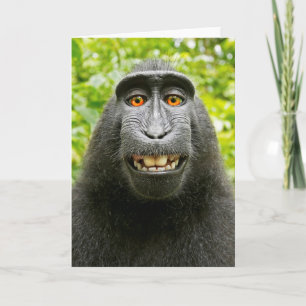 Affen-Selfie Karte