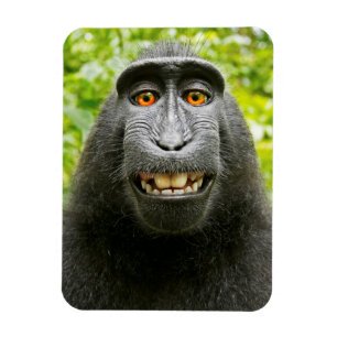 Affen-Selfie Magnet