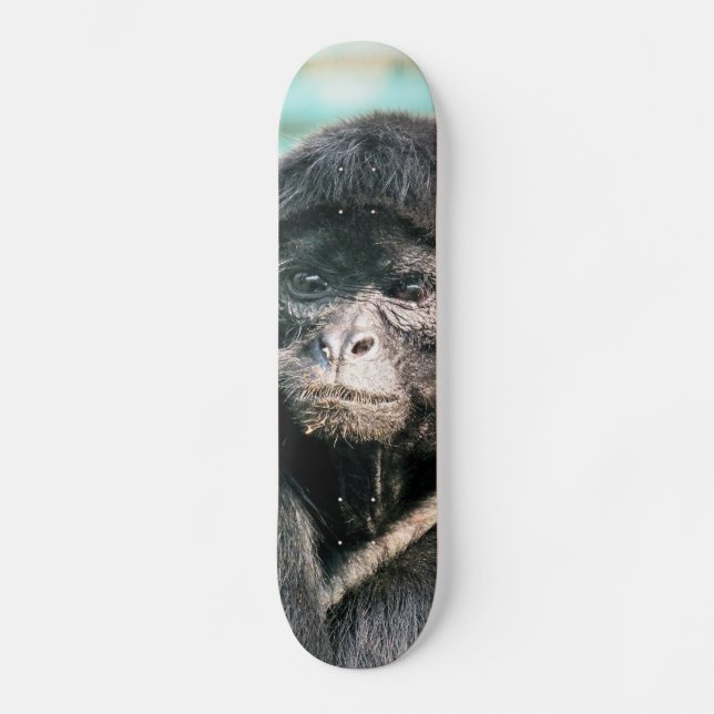 AFFEN SKATEBOARD (Vorderseite)
