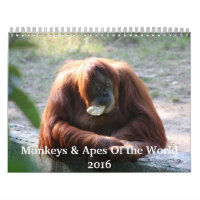 Affen und Affen der Welt 2016-Kalender
