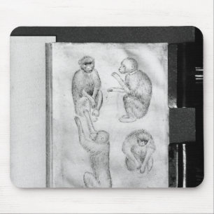 Affen, vom Vallardi Album Mousepad