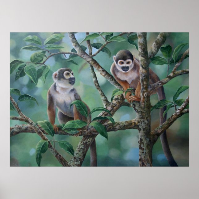 "Affenbarsche" Poster (Vorne)