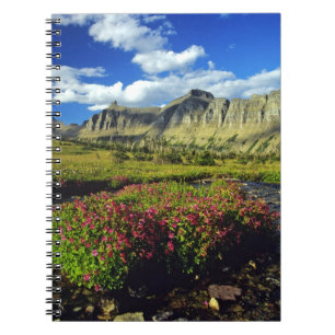 Affenblumen am Logan Pass im Glacier National Notizblock