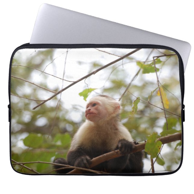 Affenfotografie, weißes Capuchin Laptopschutzhülle (Vorderseite)