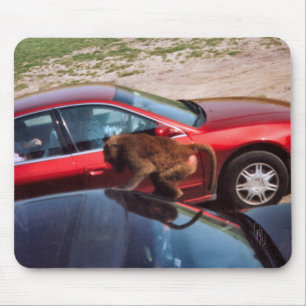 Affengeschäft Mousepad