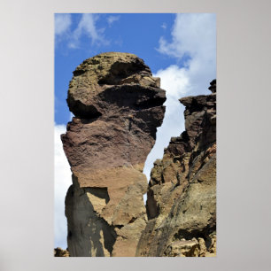 Affengesicht Poster