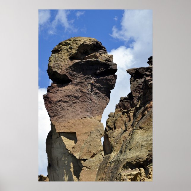 Affengesicht Poster (Vorne)