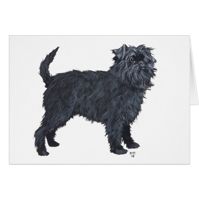 Affenpinscher (Vorderseite (Horizontal))