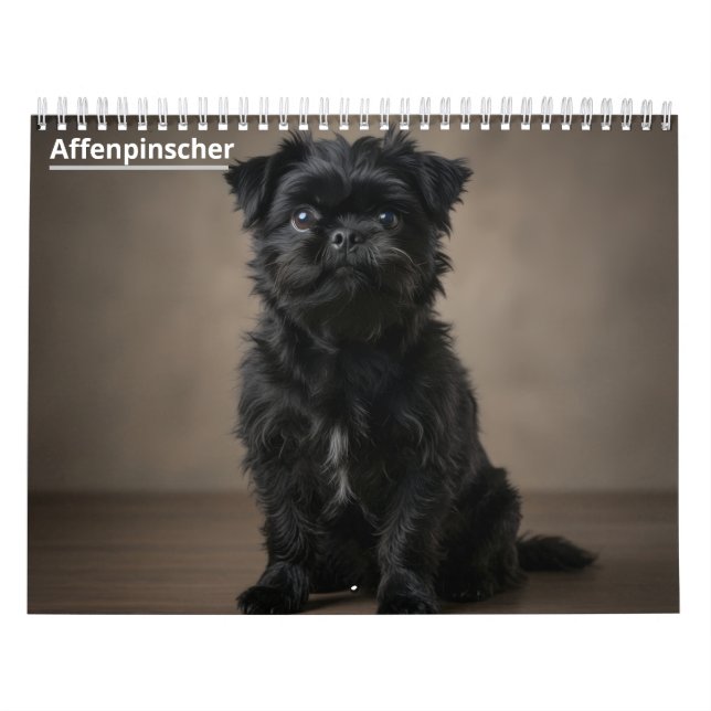 Affenpinscher 2027 Wandkalender (Titelbild)
