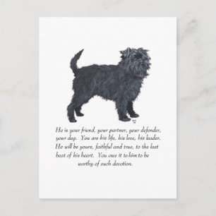 Affenpinscher-Andenken Postkarte