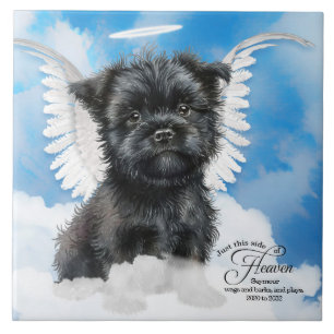 Affenpinscher Angel Dog Personalisiertes Haustier  Fliese