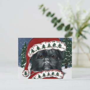 Affenpinscher Canvas Print Postkarte