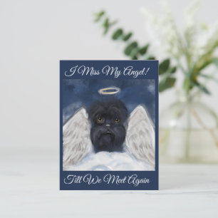 Affenpinscher Engel   Postkarte