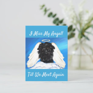 Affenpinscher Engel Postkarte