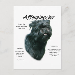 Affenpinscher Geschichtsdesign Postkarte